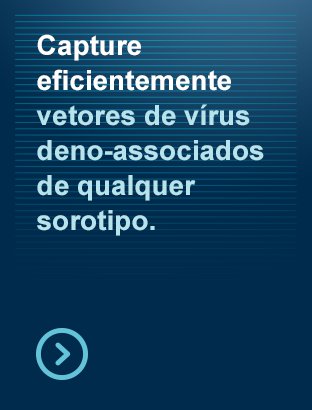 Capte eficientemente vetores de vírus adenoassociados de qualquer sorotipo
