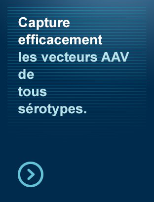 Capture efficacement les vecteurs AAV de tous sérotype